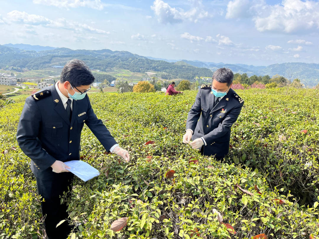 如何选购破壁机？六大全网畅销精品推荐